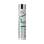 Tashe professional shampoo for hair «Hydration & smoothing», 300 ml